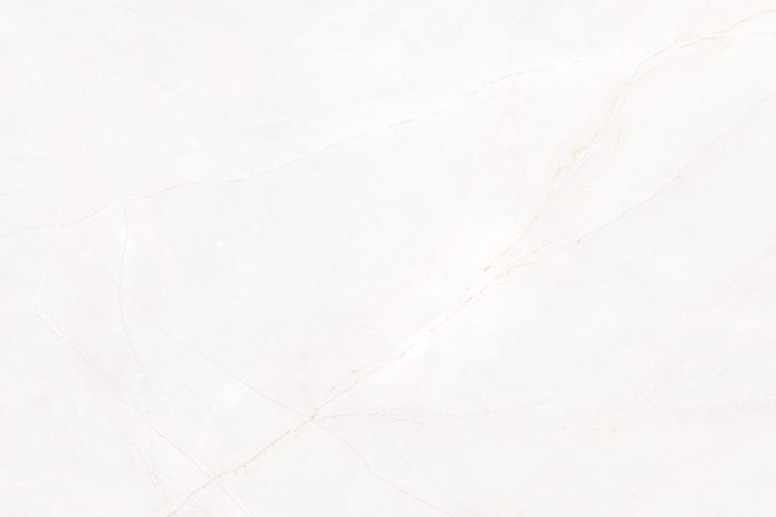 Marmo Armani White Vitrified Porcelain - Image 5