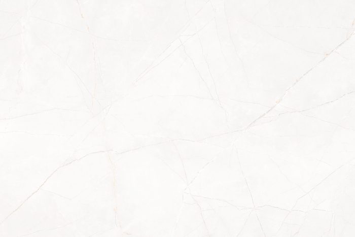 Marmo Armani White Vitrified Porcelain - Image 4