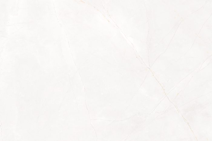 Marmo Armani White Vitrified Porcelain
